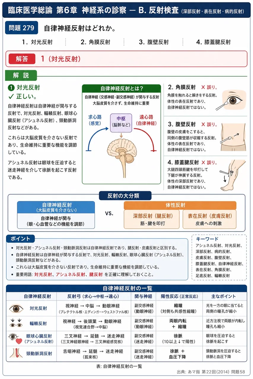 あマ指 第22回(2014) 問題58｜自律神経反射はどれか。 解説図