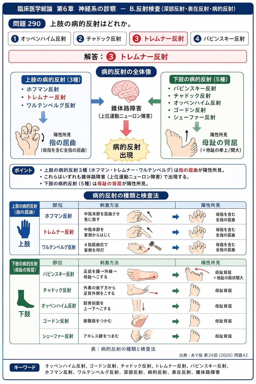 あマ指 第34回(2026) 問題42｜上肢の病的反射はどれか。 解説図