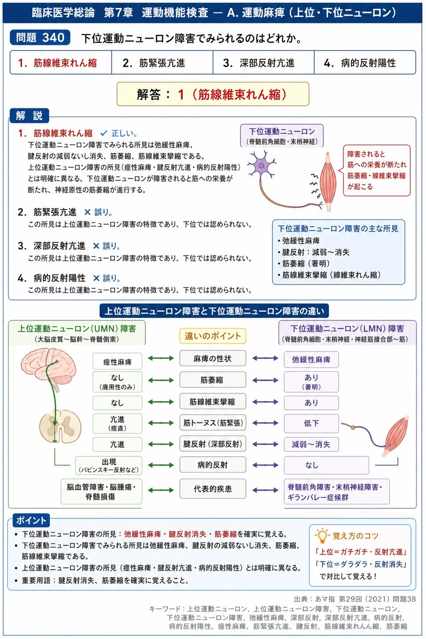 あマ指 第29回(2021) 問題38｜下位運動ニューロン障害でみられるのはどれか。 解説図