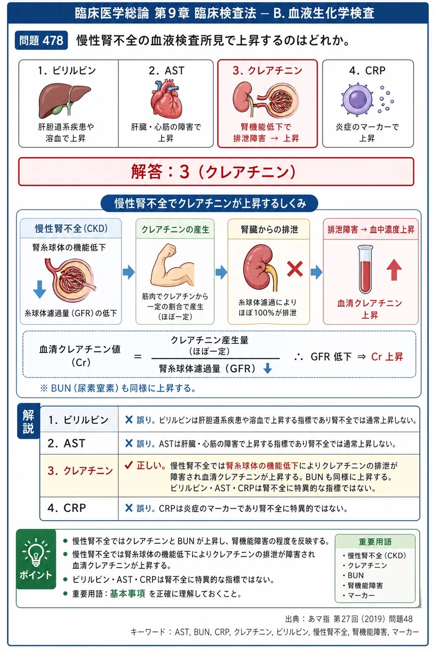 あマ指 第27回(2019) 問題48｜慢性腎不全の血液検査所見で上昇するのはどれか。 解説図