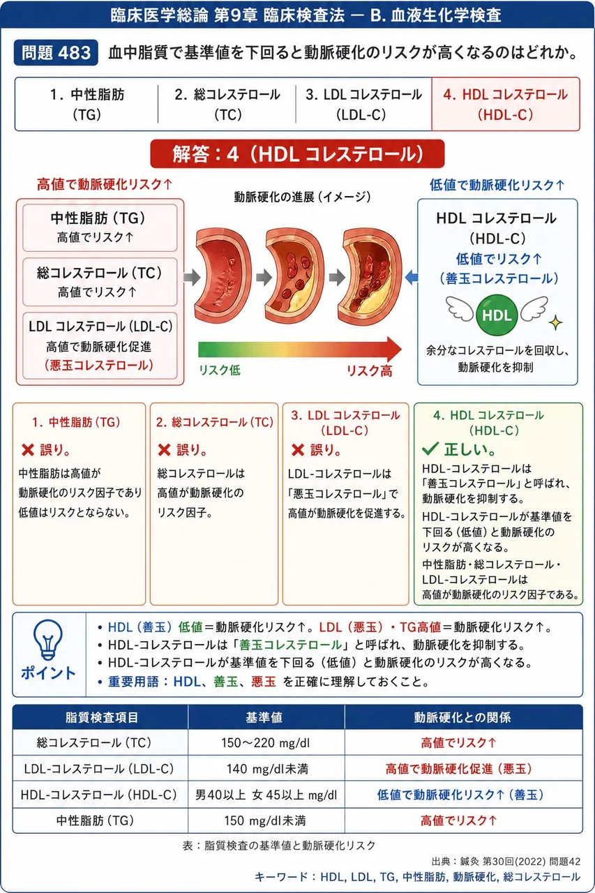 鍼灸 第30回(2022) 問題42｜血中脂質で基準値を下回ると動脈硬化のリスクが高くなるのはどれか。 解説図