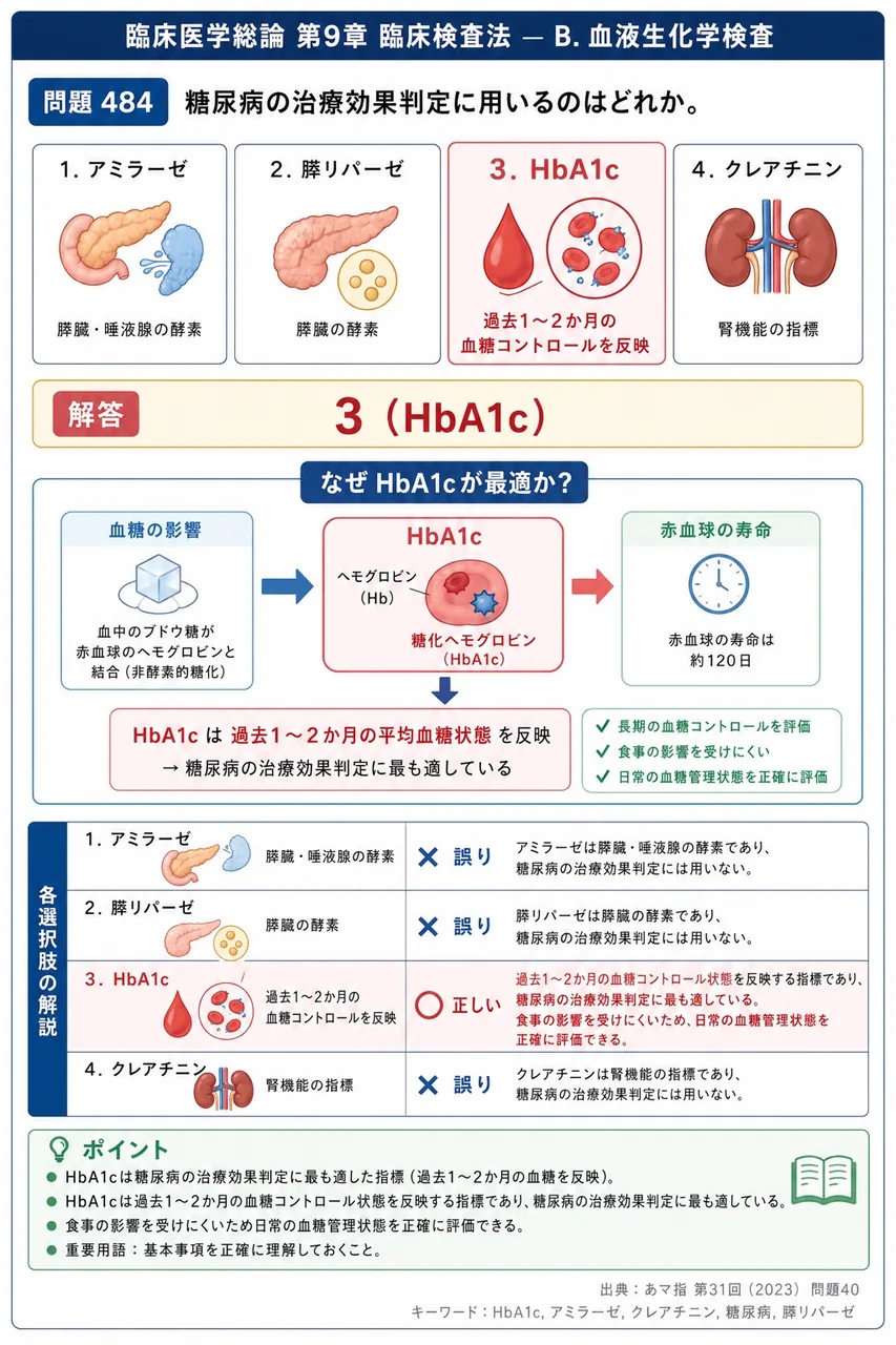 あマ指 第31回(2023) 問題40｜糖尿病の治療効果判定に用いるのはどれか。 解説図