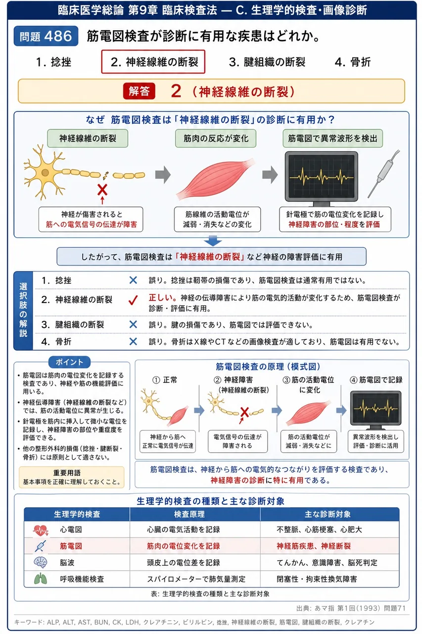 あマ指 第1回(1993) 問題71｜筋電図検査が診断に有用な疾患はどれか。 解説図