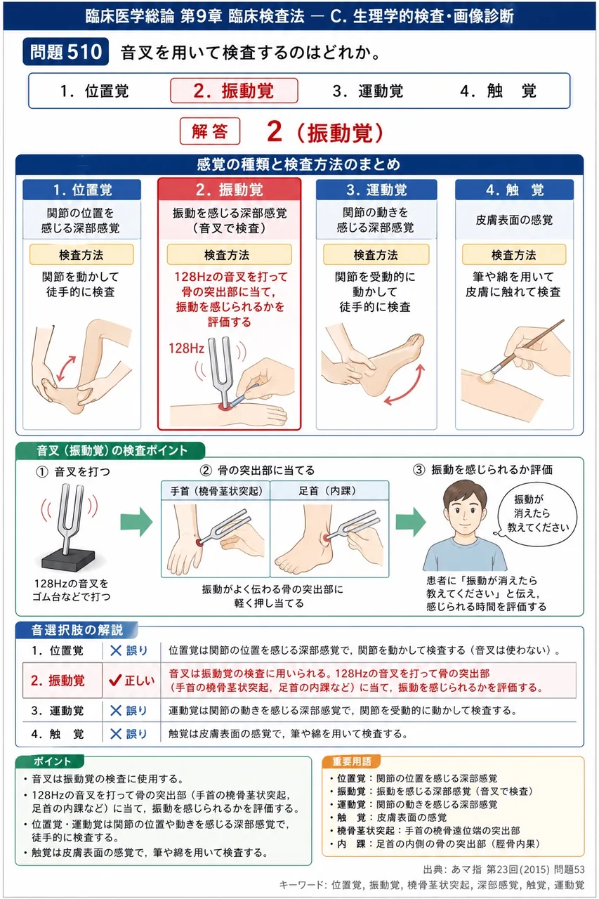 あマ指 第23回(2015) 問題53｜音叉を用いて検査するのはどれか。 解説図