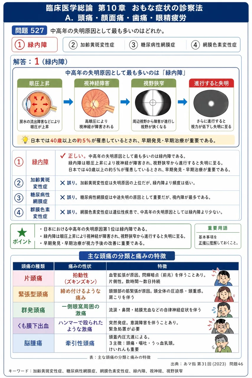 あマ指 第31回(2023) 問題46｜中高年の失明原因として最も多いのはどれか。 解説図