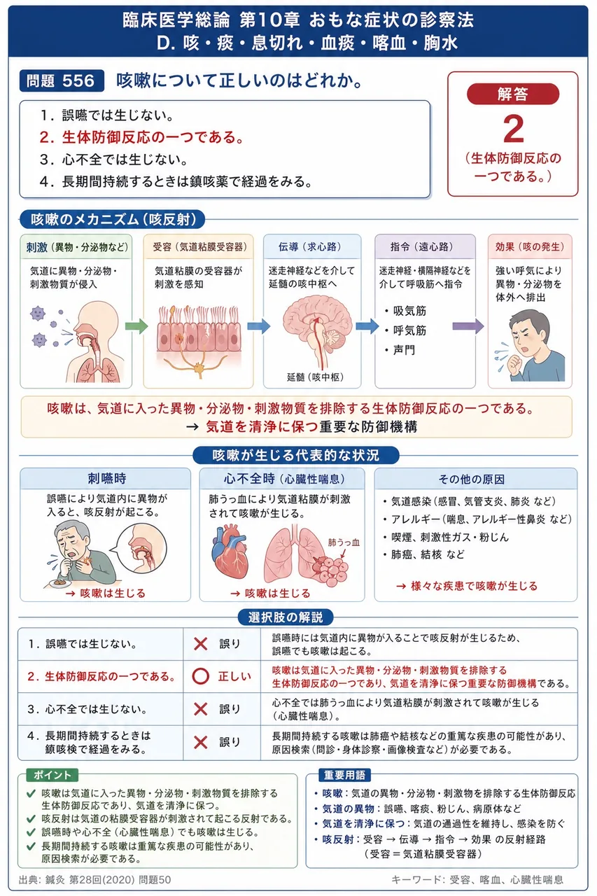鍼灸 第28回(2020) 問題50｜咳嗽について正しいのはどれか。 解説図