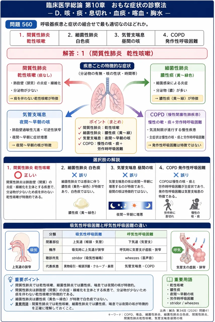 鍼灸 第34回(2026) 問題41｜呼吸器疾患と症状の組合せで最も適切なのはどれか。 解説図
