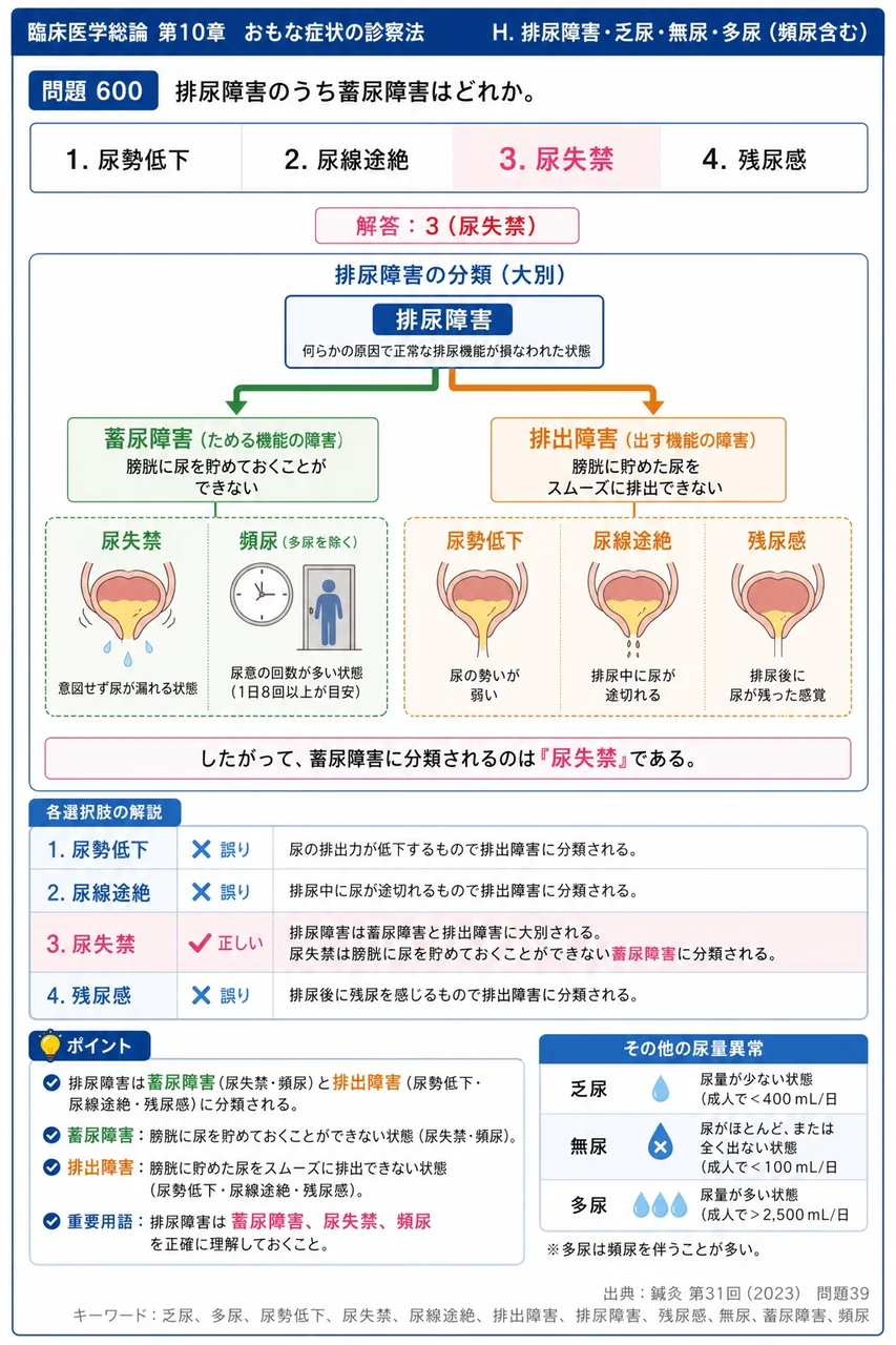 鍼灸 第31回(2023) 問題39｜排尿障害のうち蓄尿障害はどれか。 解説図
