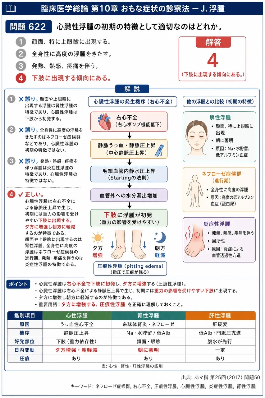 あマ指 第25回(2017) 問題50｜心臓性浮腫の初期の特徴として適切なのはどれか。 解説図
