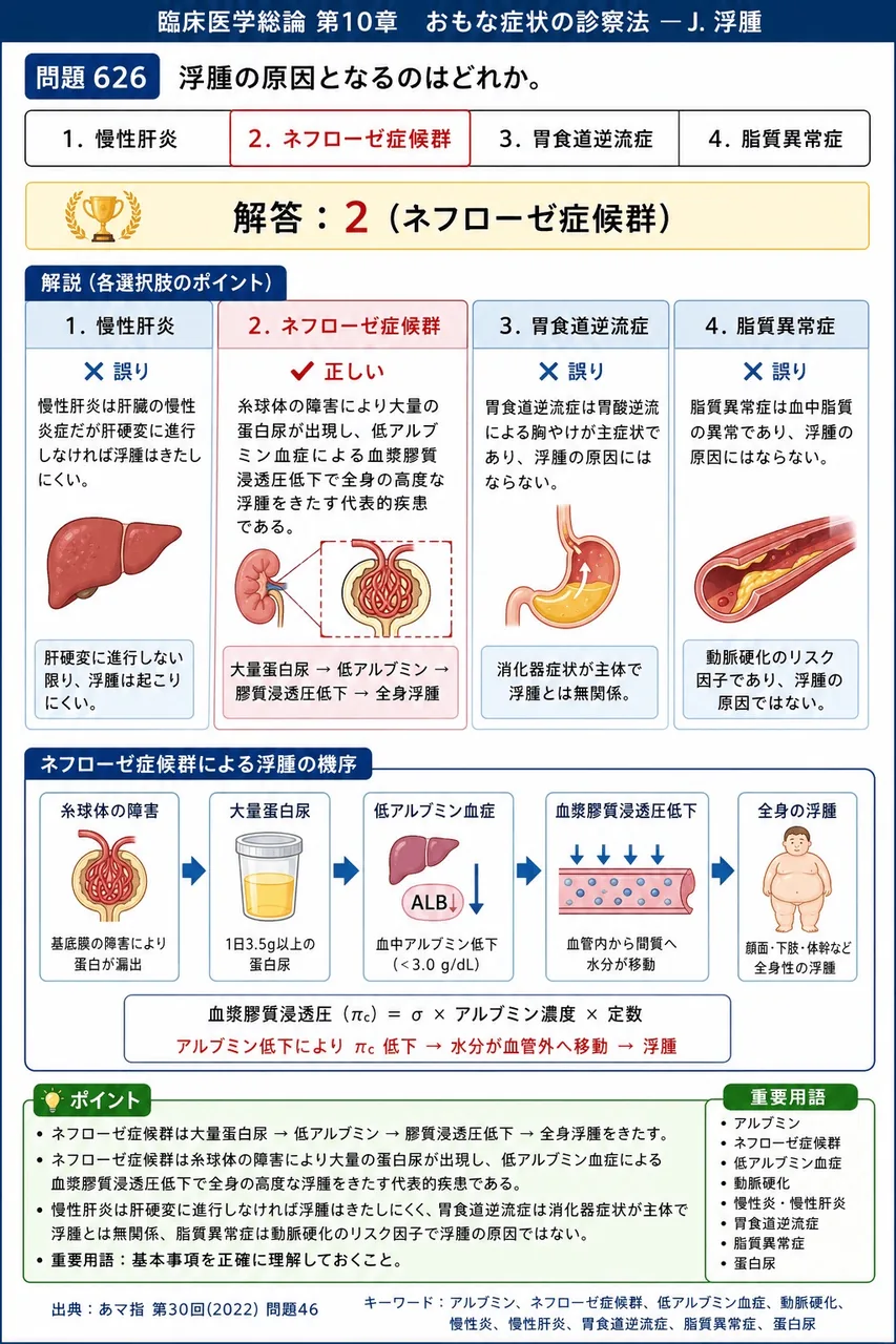 あマ指 第30回(2022) 問題46｜浮腫の原因となるのはどれか。 解説図