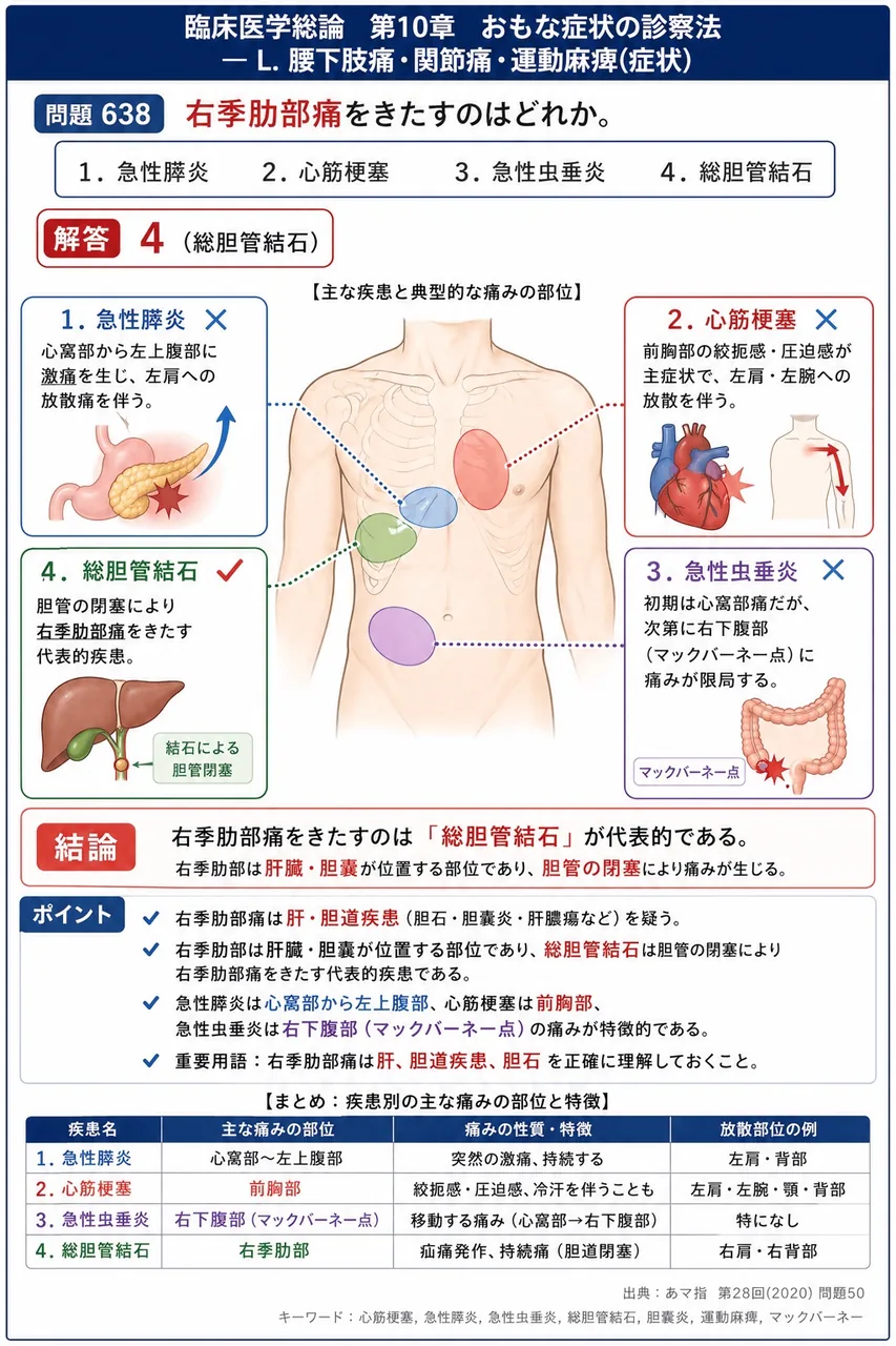 あマ指 第28回(2020) 問題50｜右季肋部痛をきたすのはどれか。 解説図