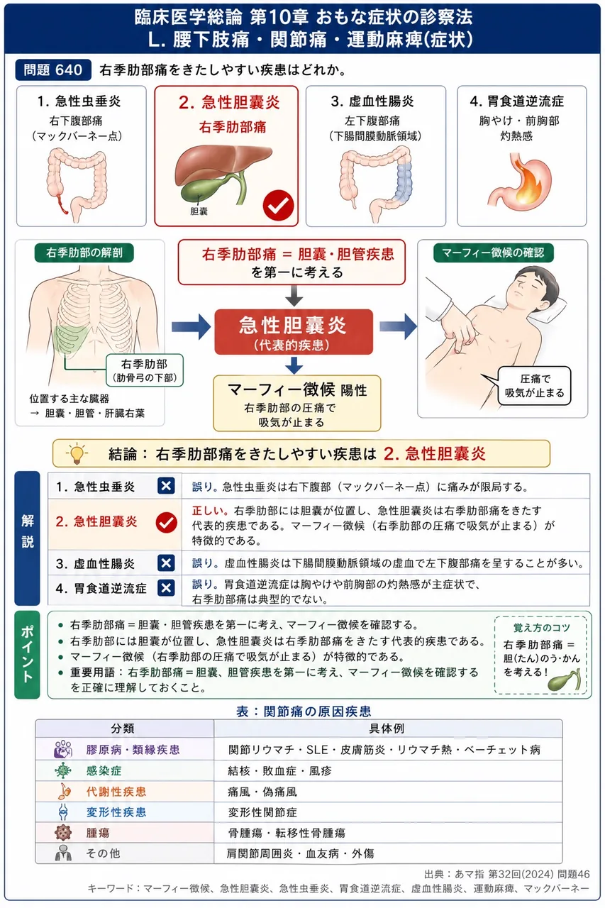 あマ指 第32回(2024) 問題46｜右季肋部痛をきたしやすい疾患はどれか。 解説図