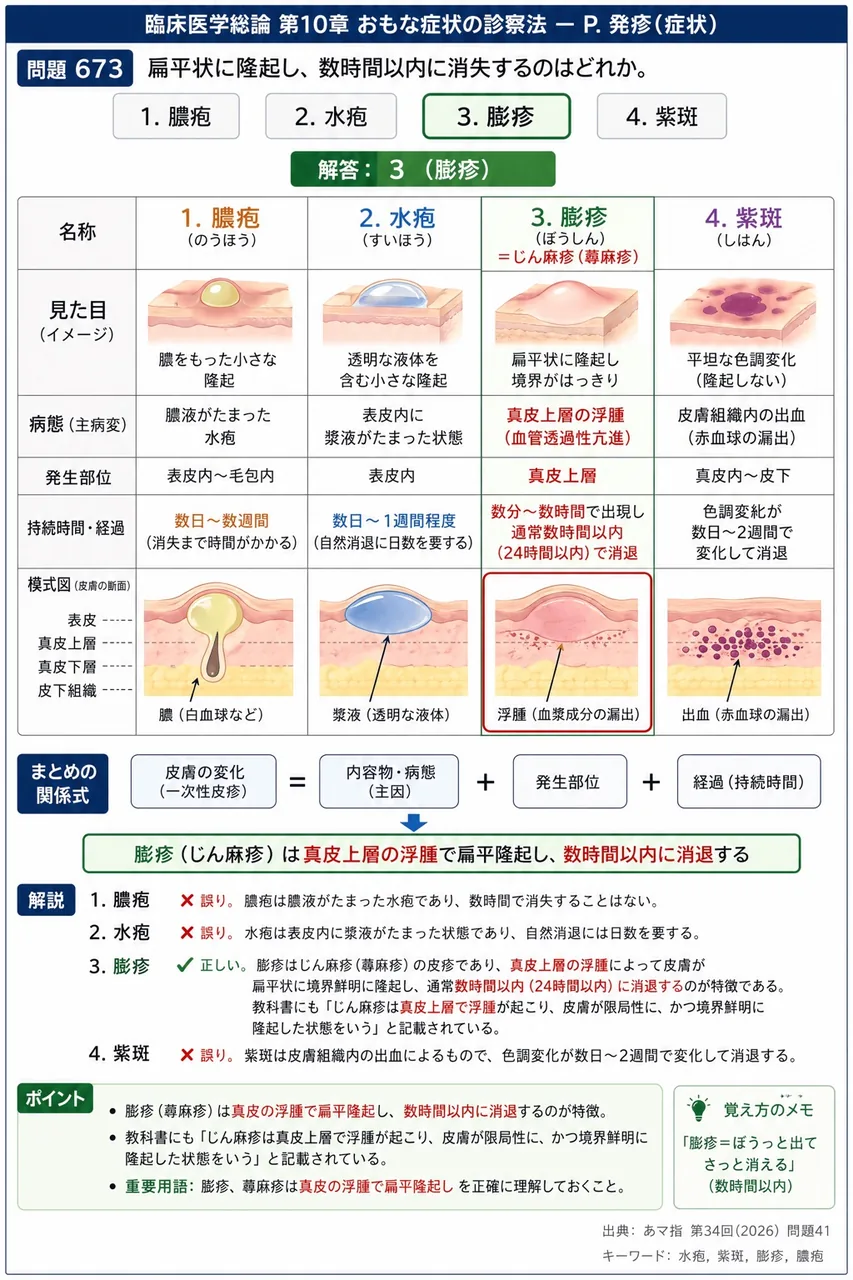 あマ指 第34回(2026) 問題41｜扁平状に隆起し、数時間以内に消失するのはどれか。 解説図