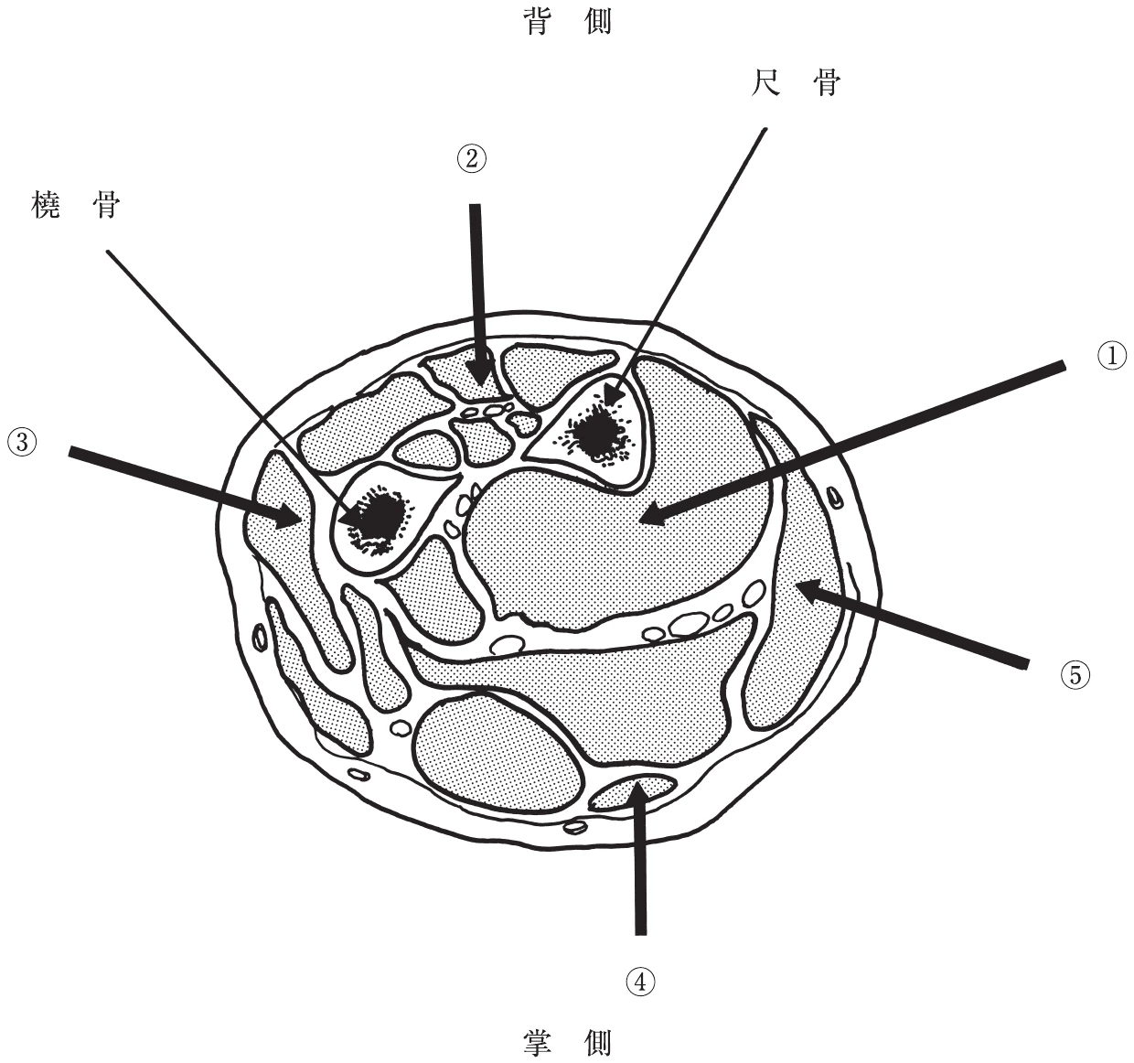 図