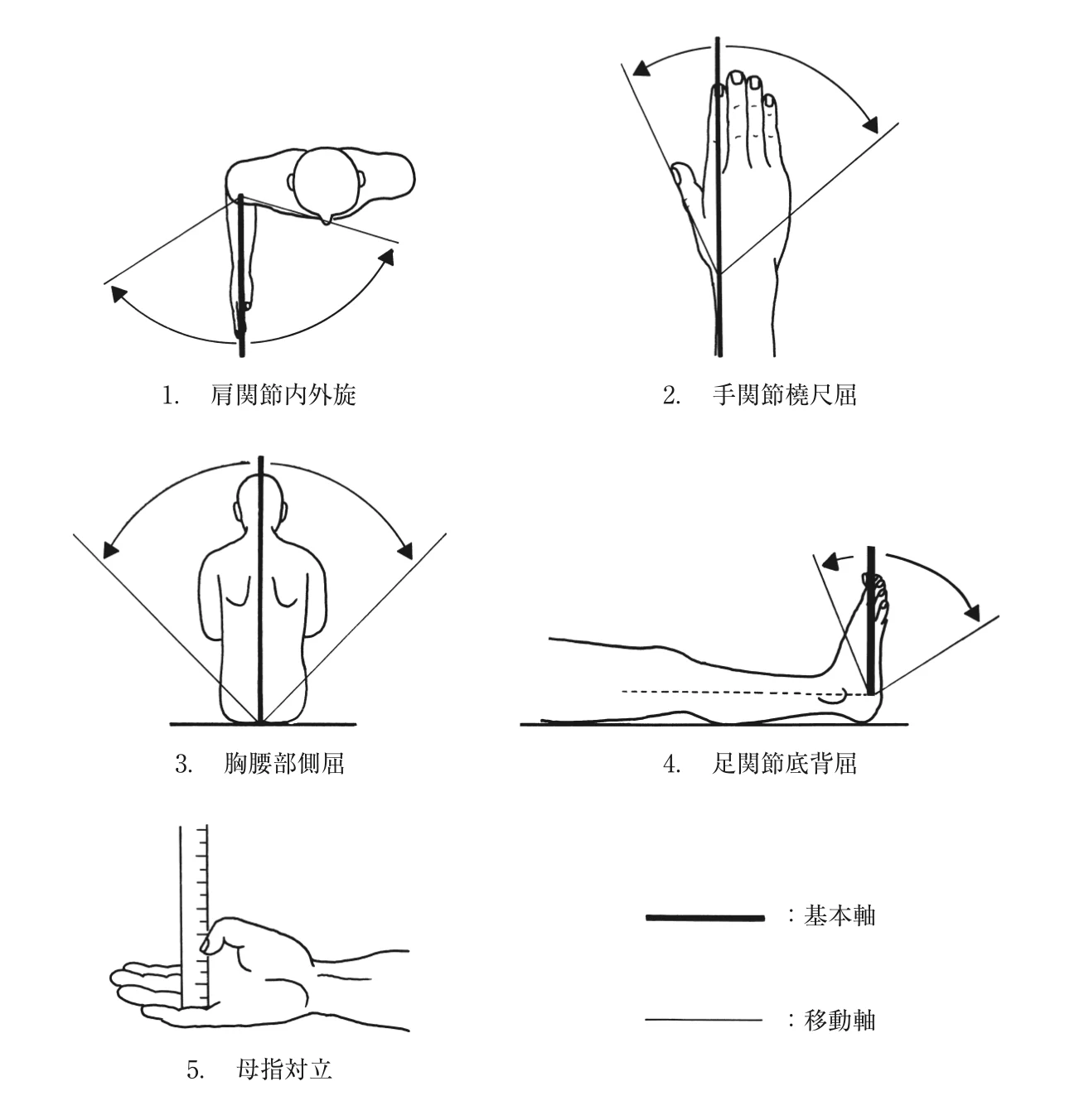 図
