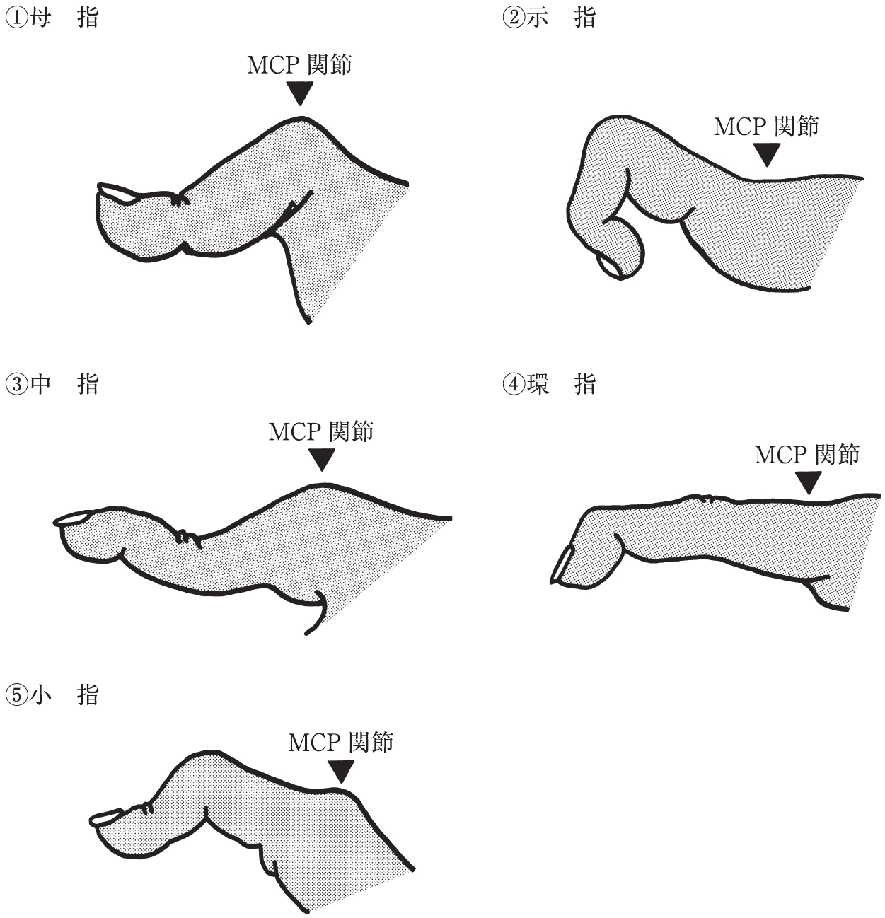図
