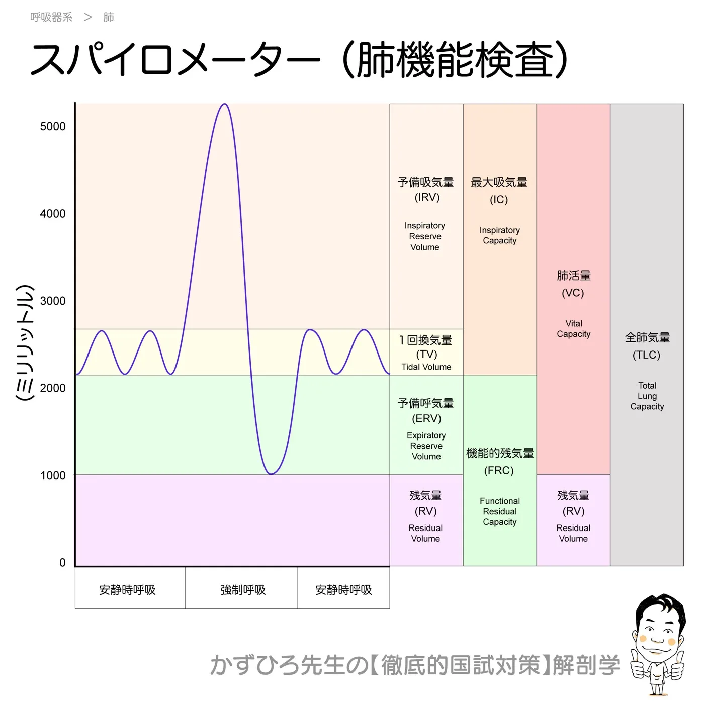 スパイロメーター