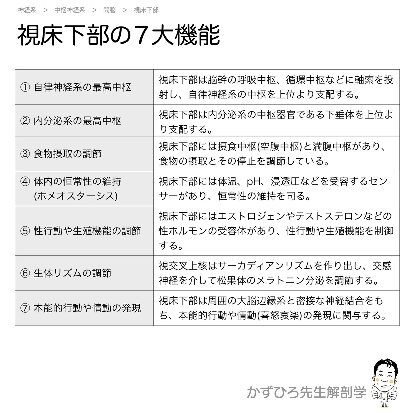 視床下部の7大機能