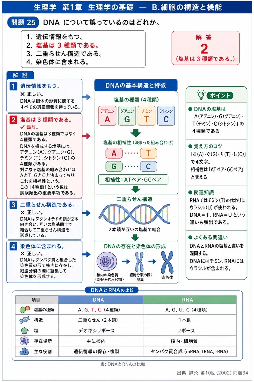 鍼灸 第10回(2002) 問題34|DNA について誤っているのはどれか。 解説図