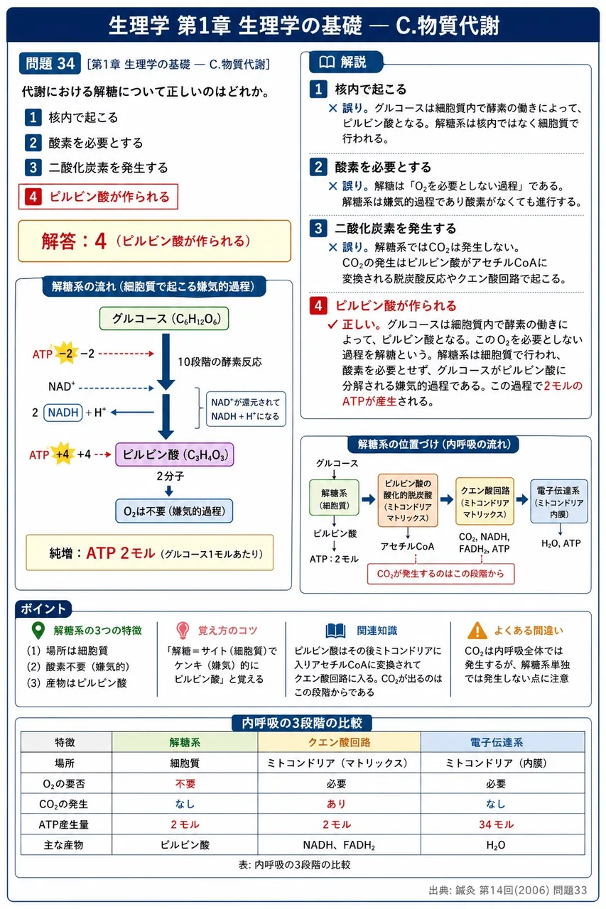 鍼灸 第14回(2006) 問題33｜代謝における解糖について正しいのはどれか。 解説図