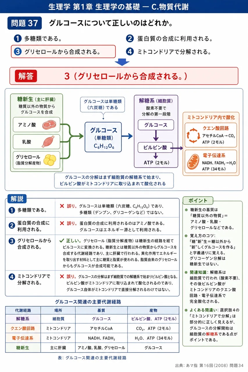 あマ指 第16回(2008) 問題34｜グルコースについて正しいのはどれか。 解説図