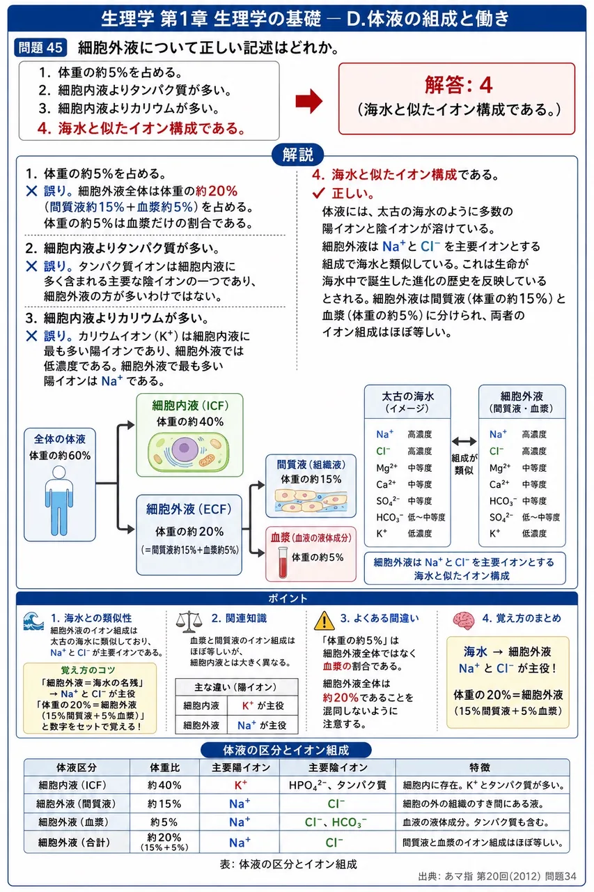 あマ指 第20回(2012) 問題34｜細胞外液について正しい記述はどれか。 解説図
