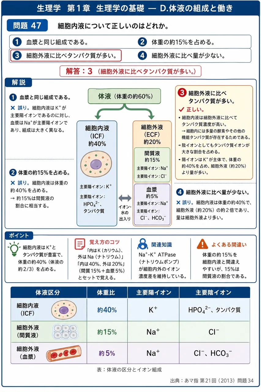 あマ指 第21回(2013) 問題34｜細胞内液について正しいのはどれか。 解説図