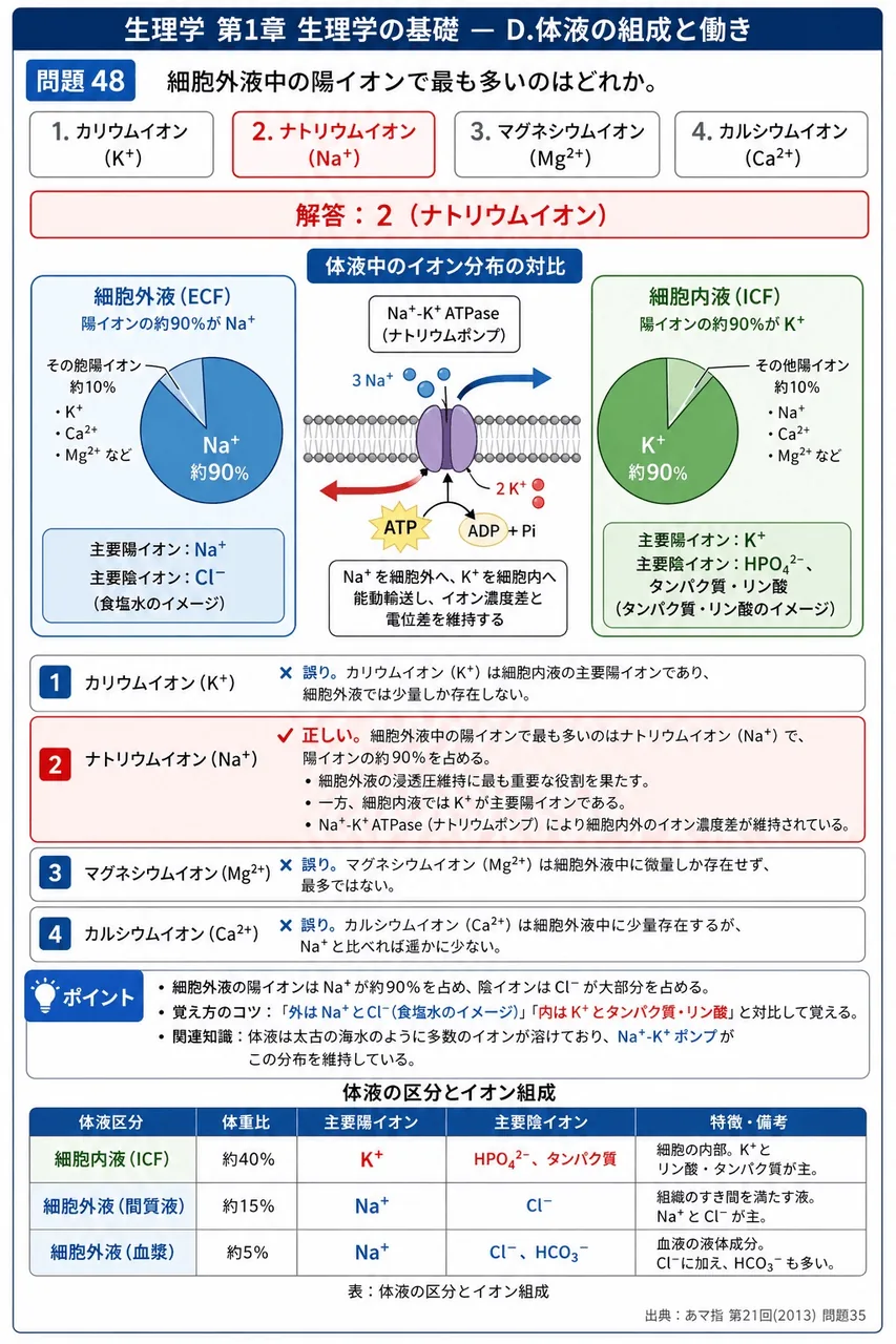 あマ指 第21回(2013) 問題35｜細胞外液中の陽イオンで最も多いのはどれか。 解説図