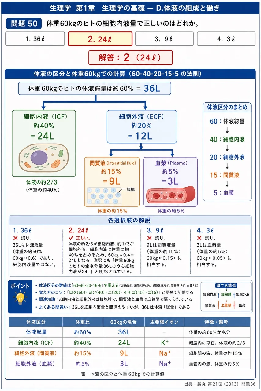 鍼灸 第21回(2013) 問題36｜体重60kgのヒトの細胞内液量で正しいのはどれか。 解説図