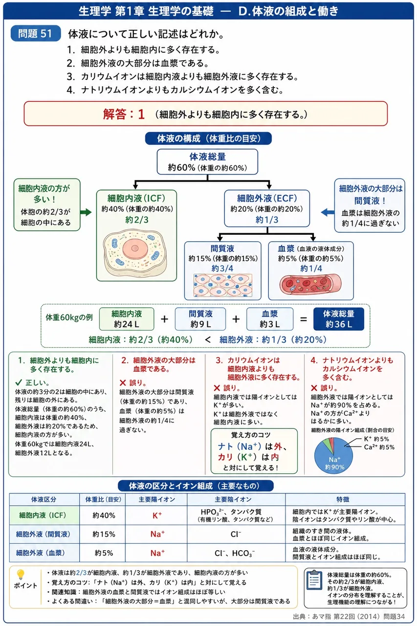 あマ指 第22回(2014) 問題34｜体液について正しい記述はどれか。 解説図