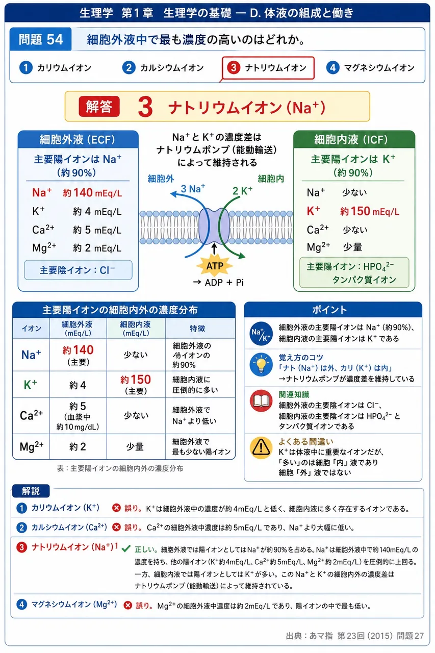あマ指 第23回(2015) 問題27|細胞外液中で最も濃度の高いのはどれか。 解説図