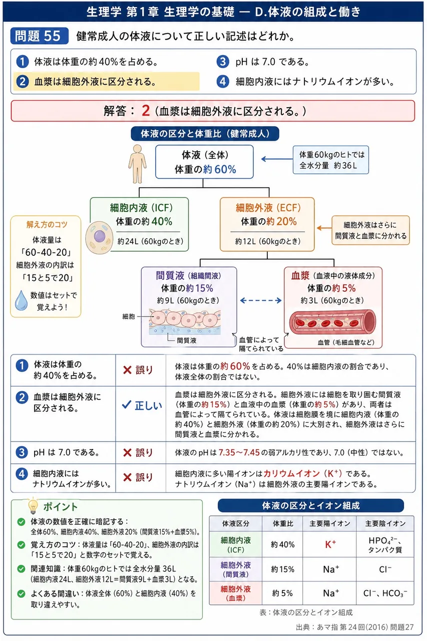 あマ指 第24回(2016) 問題27｜健常成人の体液について正しい記述はどれか。 解説図
