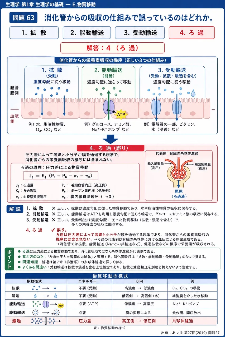 あマ指 第27回(2019) 問題27｜消化管からの吸収の仕組みで誤っているのはどれか。 解説図
