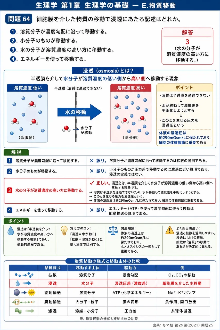 あマ指 第29回(2021) 問題25｜細胞膜を介した物質の移動で浸透にあたる記述はどれか。 解説図
