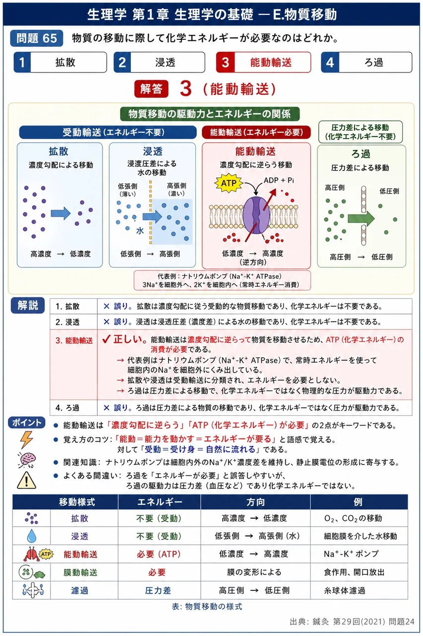 鍼灸 第29回(2021) 問題24｜物質の移動に際して化学エネルギーが必要なのはどれか。 解説図