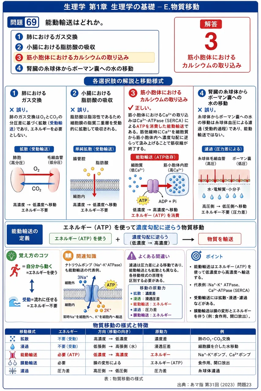 あマ指 第31回(2023) 問題23｜能動輸送はどれか。 解説図