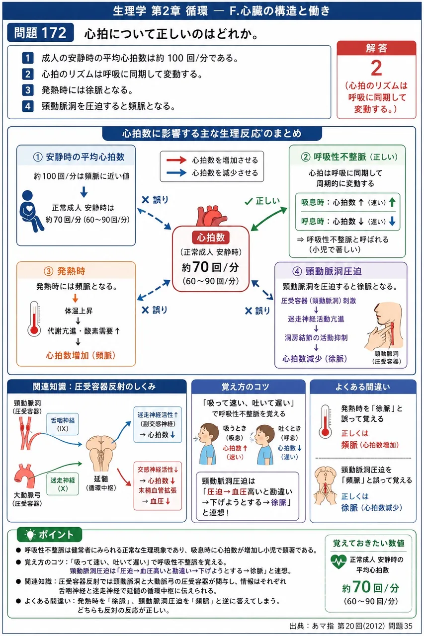 あマ指 第20回(2012) 問題35｜心拍について正しいのはどれか。 解説図