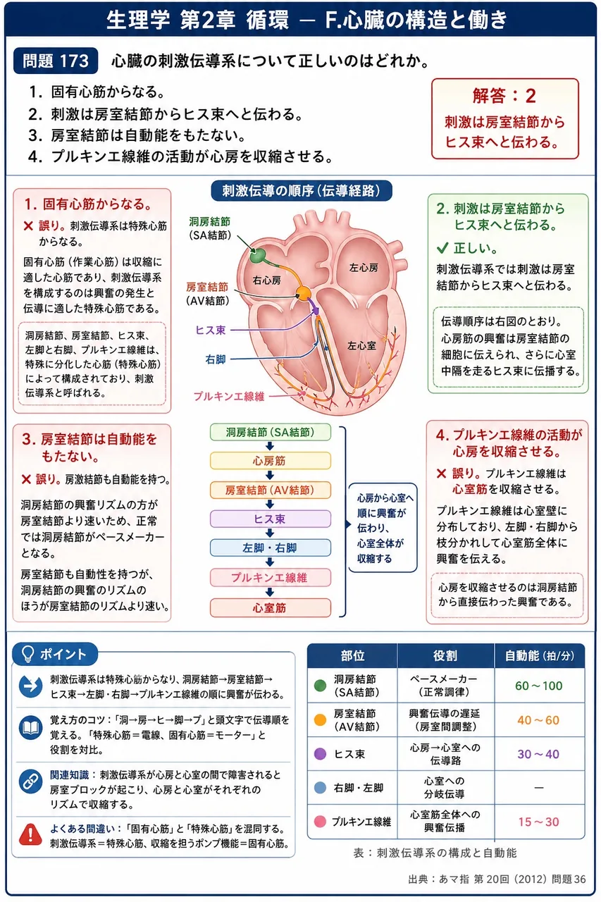 あマ指 第20回(2012) 問題36｜心臓の刺激伝導系について正しいのはどれか。 解説図