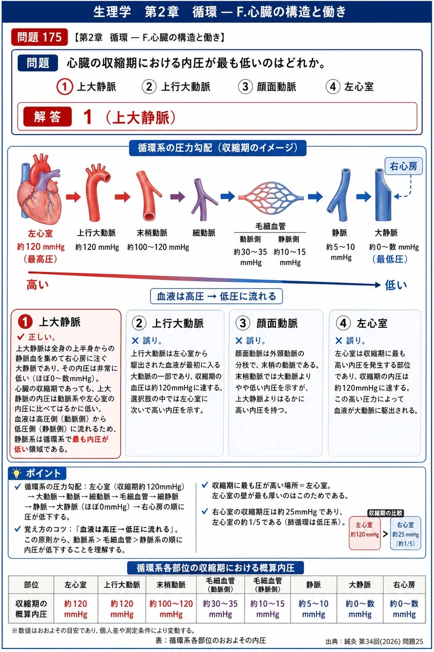 鍼灸 第34回(2026) 問題25｜心臓の収縮期における内圧が最も低いのはどれか。 解説図