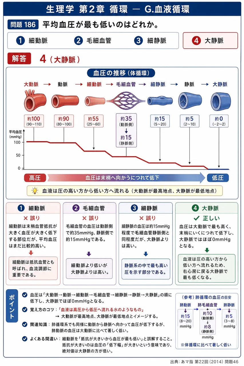あマ指 第22回(2014) 問題46｜平均血圧が最も低いのはどれか。 解説図