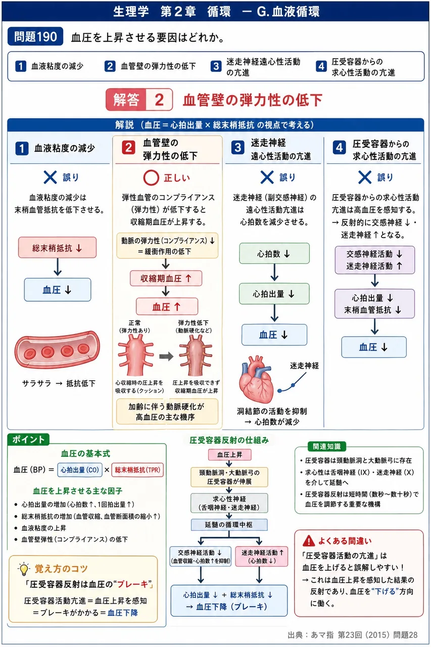 あマ指 第23回(2015) 問題28｜血圧を上昇させる要因はどれか。 解説図