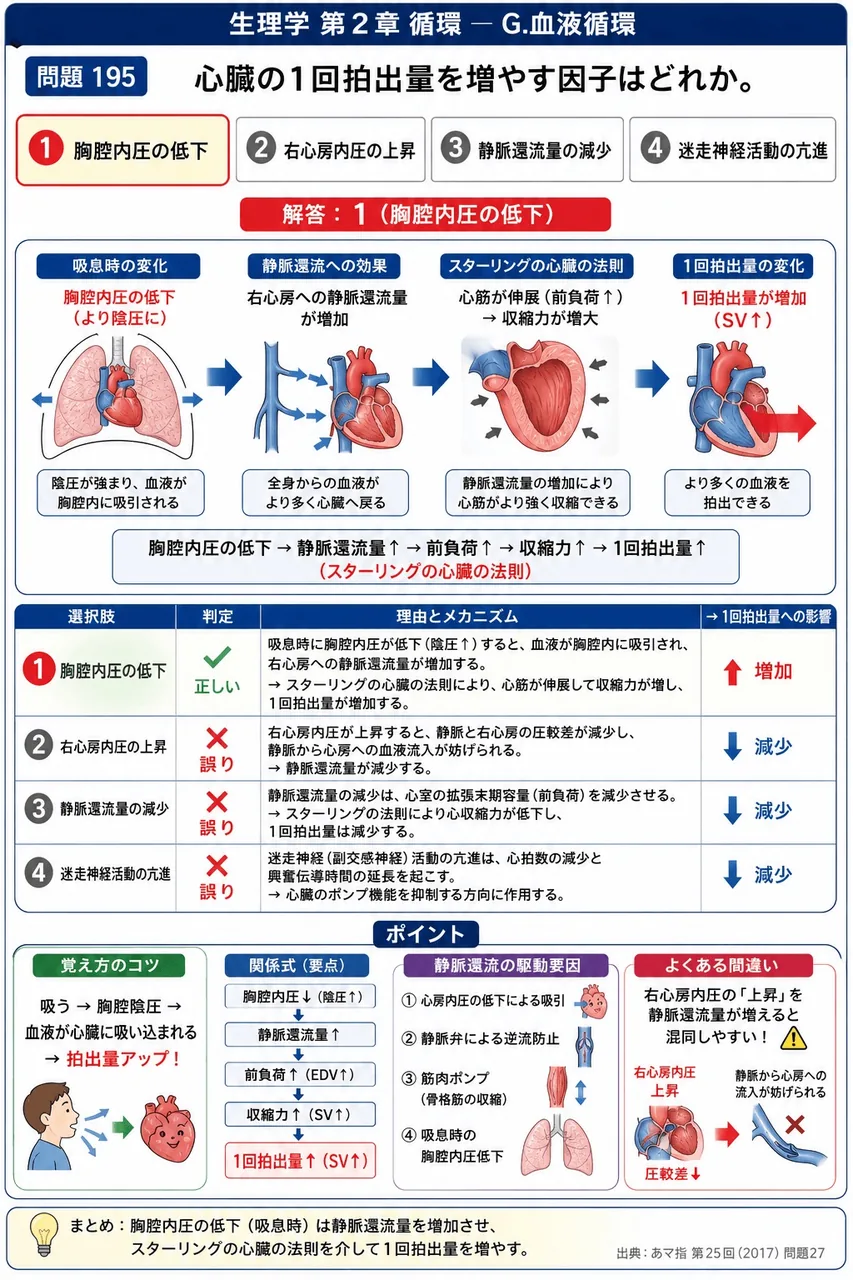 あマ指 第25回(2017) 問題27｜心臓の1回拍出量を増やす因子はどれか。 解説図