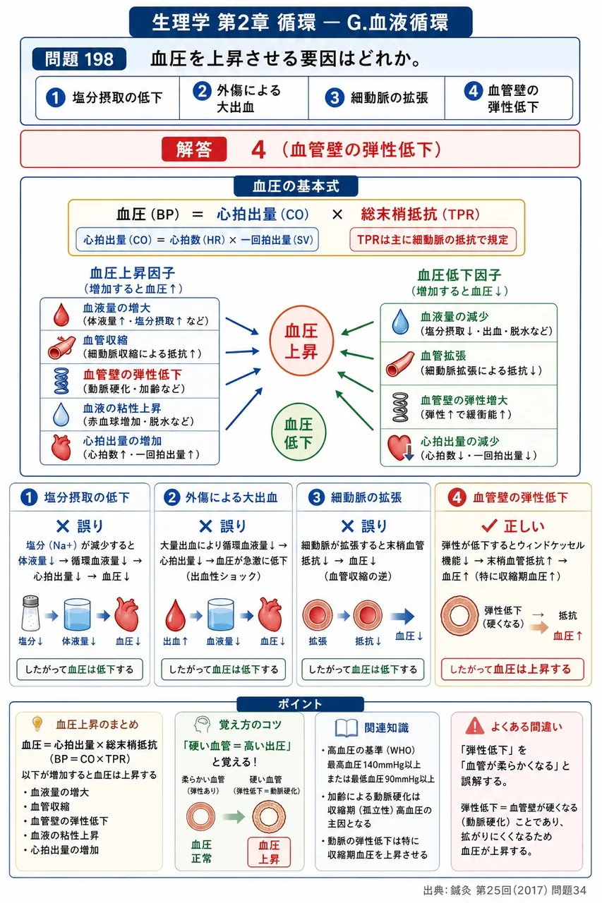 鍼灸 第25回(2017) 問題34｜血圧を上昇させる要因はどれか。 解説図