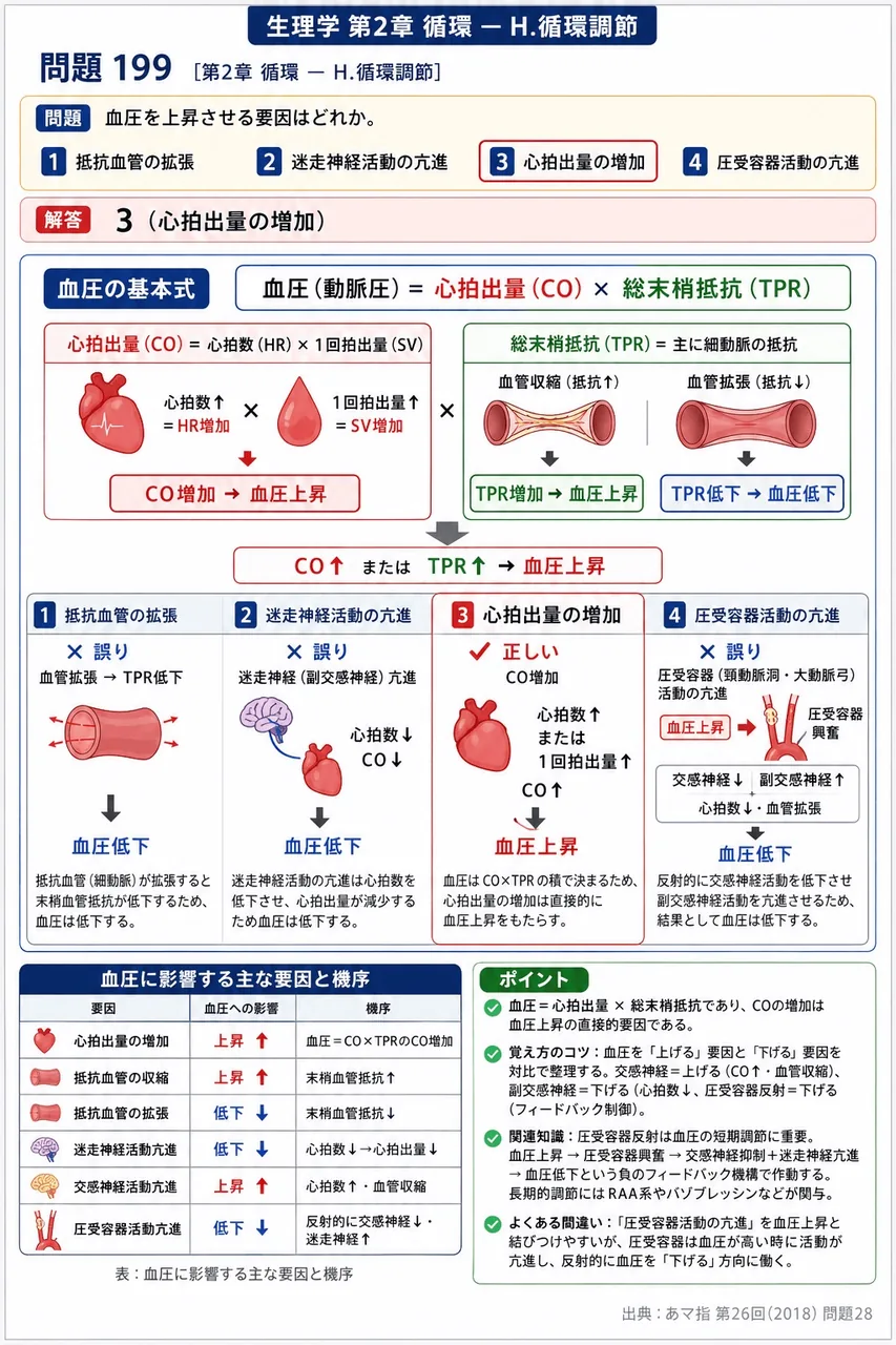 あマ指 第26回(2018) 問題28｜血圧を上昇させる要因はどれか。 解説図