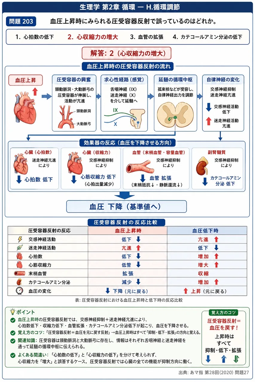 あマ指 第28回(2020) 問題27|血圧上昇時にみられる圧受容器反射で誤っているのはどれか。 解説図