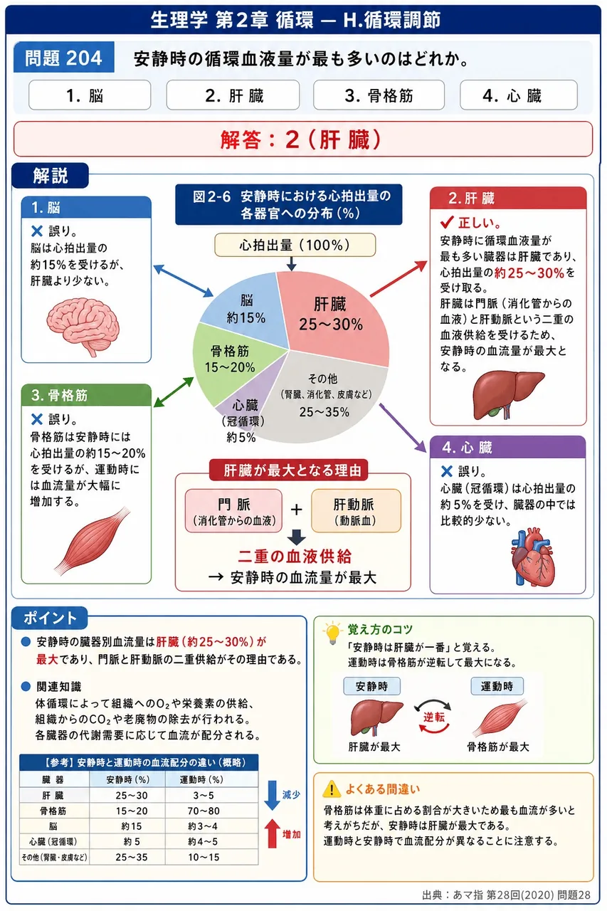 あマ指 第28回(2020) 問題28｜安静時の循環血液量が最も多いのはどれか。 解説図