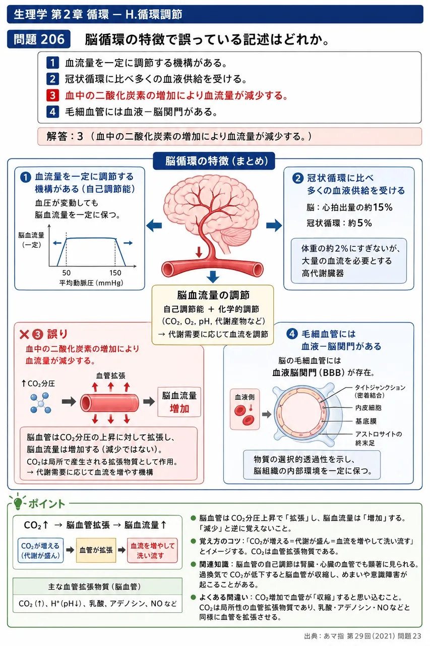 あマ指 第29回(2021) 問題23｜脳循環の特徴で誤っている記述はどれか。 解説図
