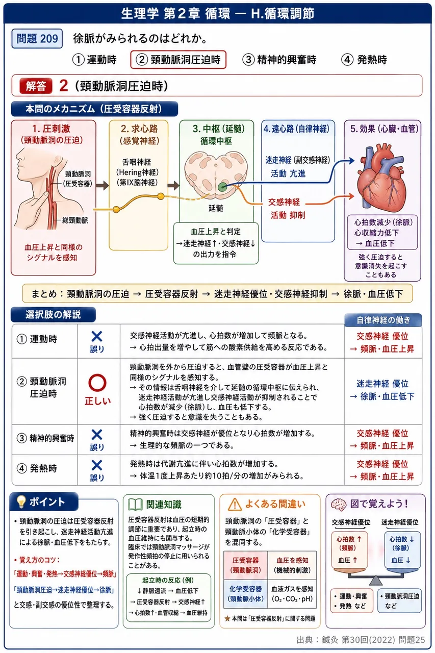 鍼灸 第30回(2022) 問題25｜徐脈がみられるのはどれか。 解説図