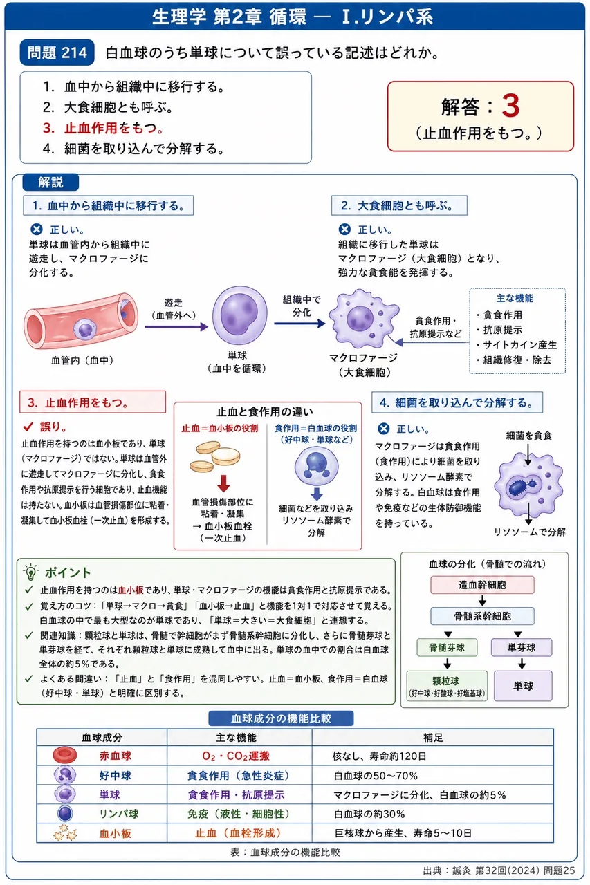 鍼灸 第32回(2024) 問題25｜白血球のうち単球について誤っている記述はどれか。 解説図