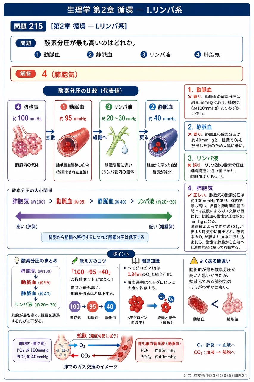 あマ指 第33回(2025) 問題24｜酸素分圧が最も高いのはどれか。 解説図